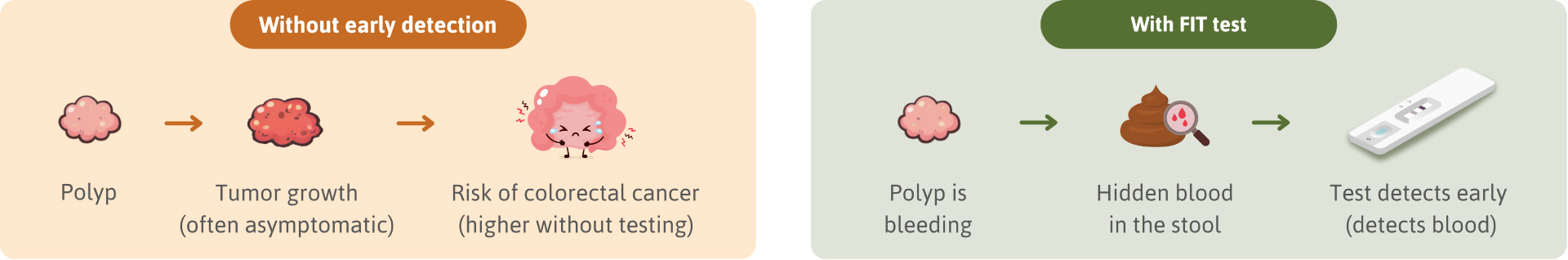 A simple comparison of polyp growth in colorectal cancer between no screening and early detection using a FIT test.
