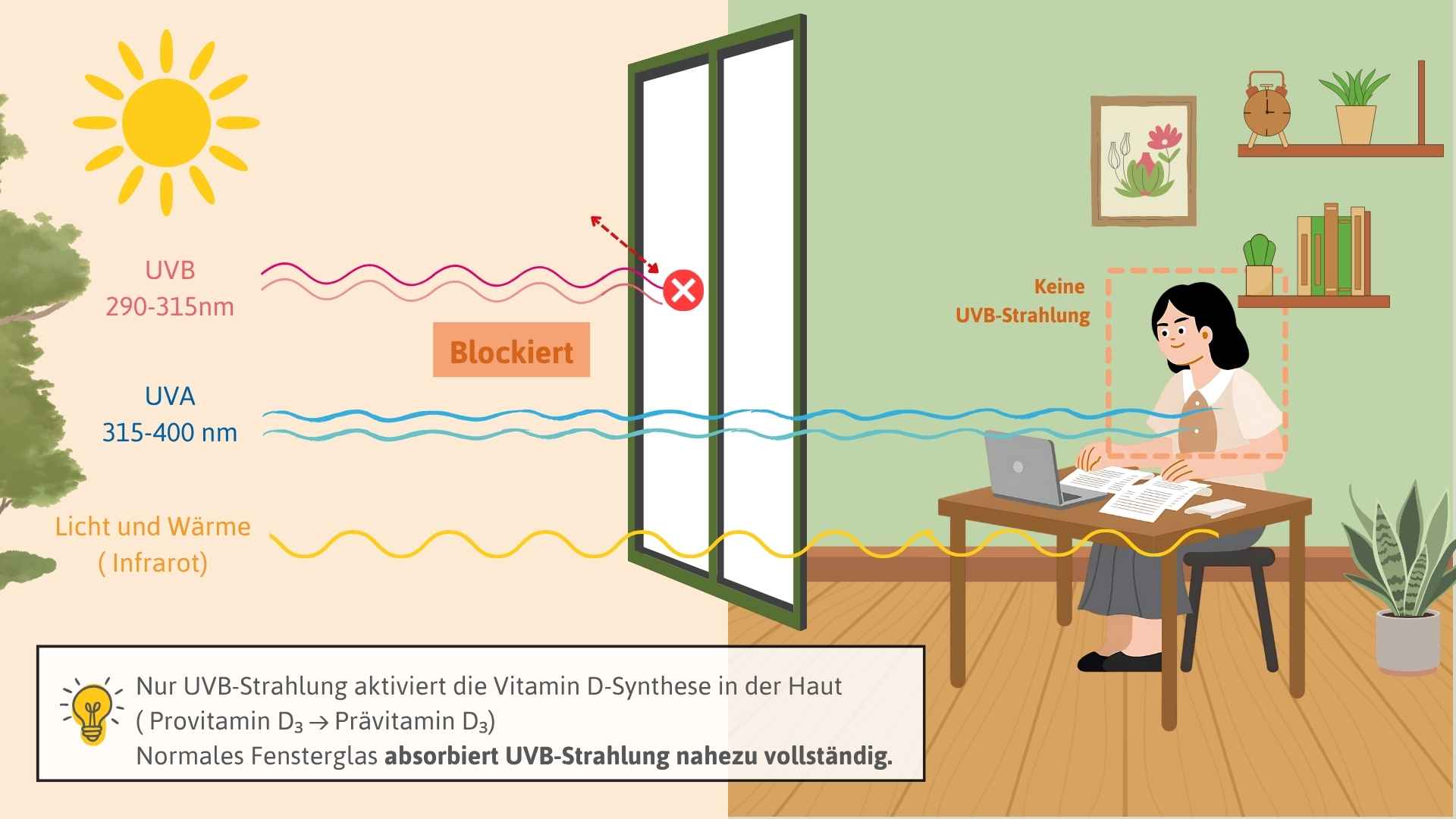 Einer Person sitzt am Fenster. UVB-Strahlung wird vom Fensterglas absorbiert, waehrend UVA-Strahlen und Waerme hindurchgelangen. Dadurch findet keine Vitamin-D-Synthese statt.