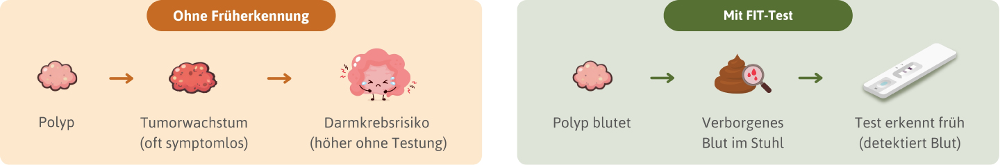 Einfache Gegenueberstellung des Polypenwachstum bei Darmkrebs ohne Vorsorgeuntersuchung versus Frueherkennung mit iFOBT-Test.