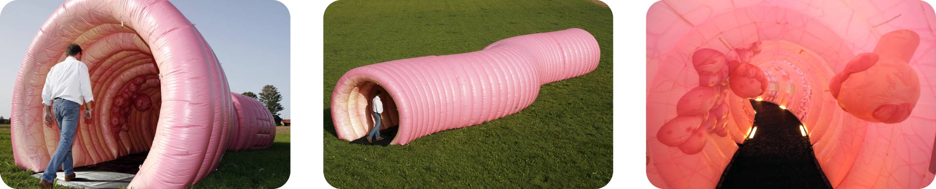 Walk-through digestive tract model by the Felix Burda Foundation as an interactive exhibit for colorectal cancer awareness.