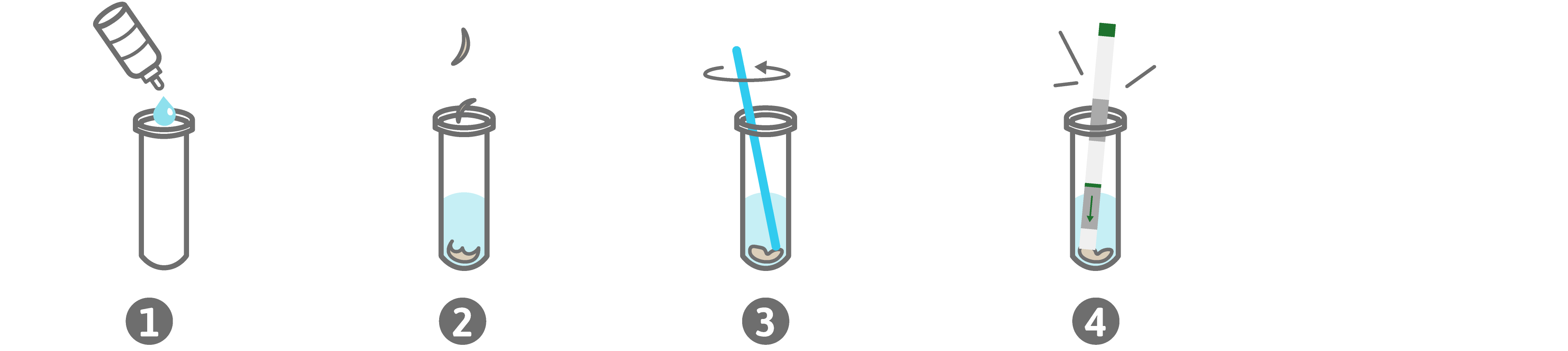 Kurzanleitung PreventID Dermatophyte